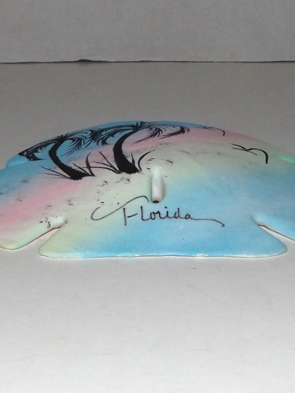 Vintage Florida Souvenir Hand Painted 4 5/8” Sand Dollar
